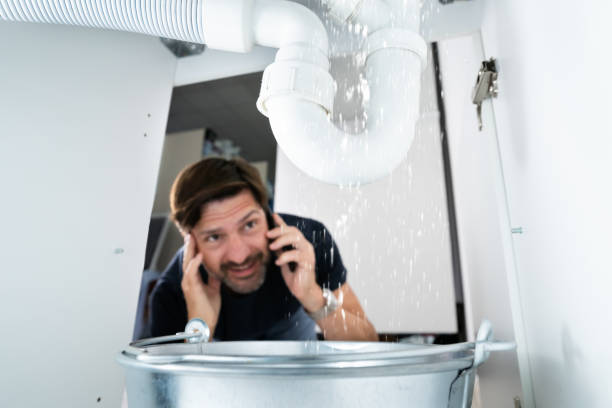 Best Sewer Line Repair  in Marissa, IL