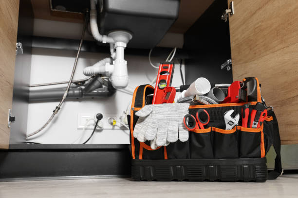 Best Plumbing Repair Near Me  in Marissa, IL