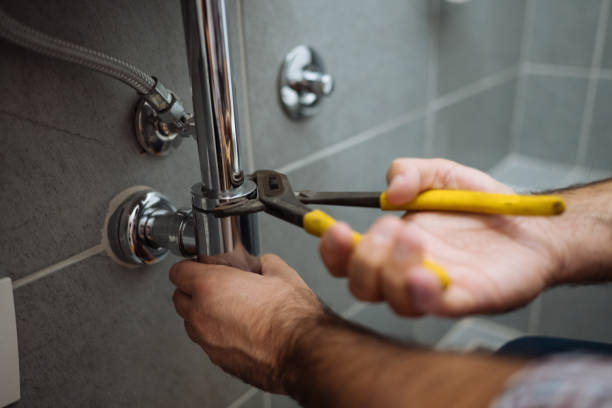 Best Plumbing Services Near Me  in Marissa, IL